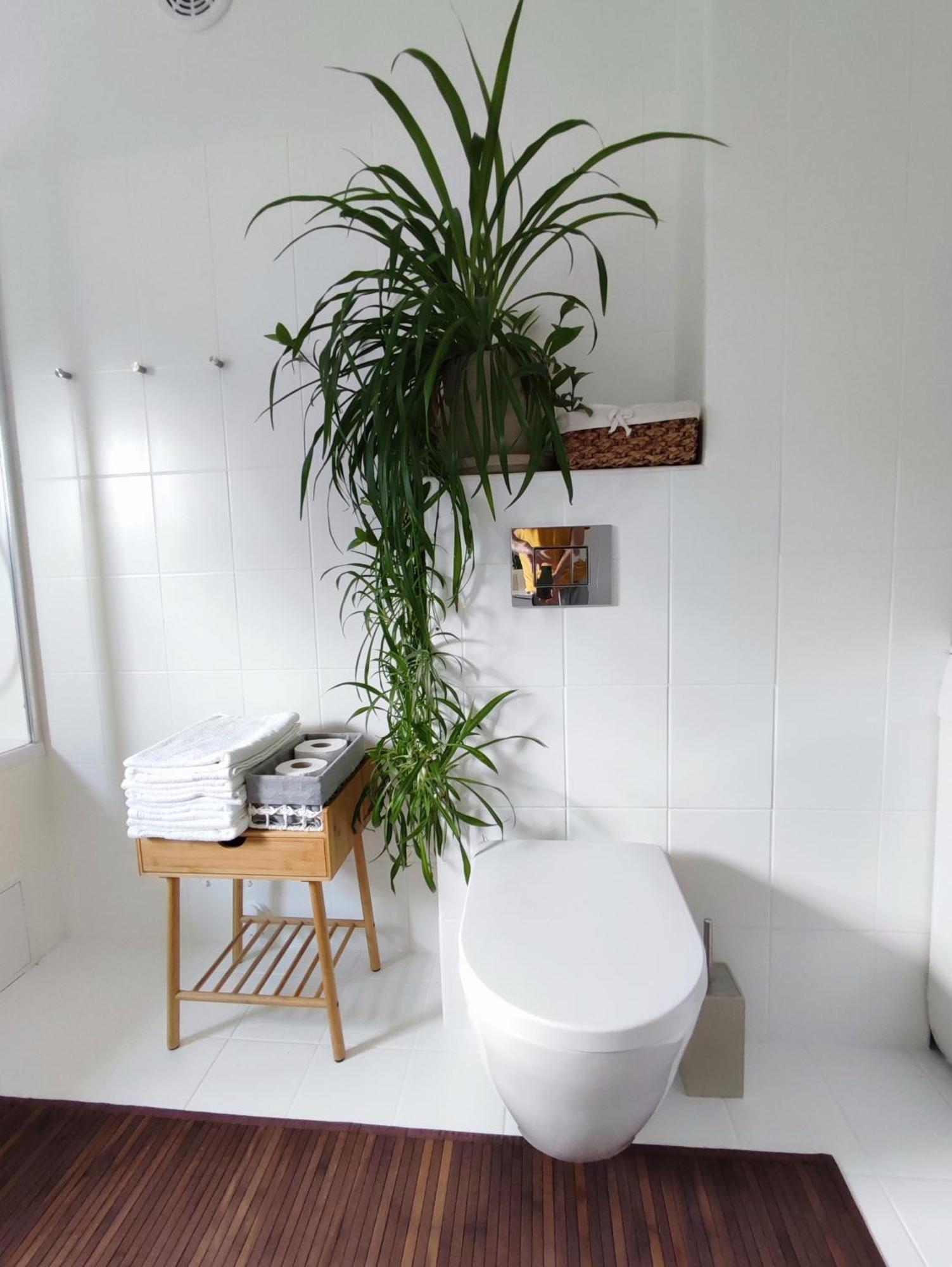 Apartment Urokliwy Azyl W Miescie: Komfort I Spokoj, Projektor I Hi-fi, 6 Minut Kolejka Do Centrum.